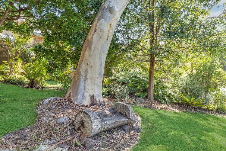 Fre72 – Fields of Green by Experience Jervis Bay