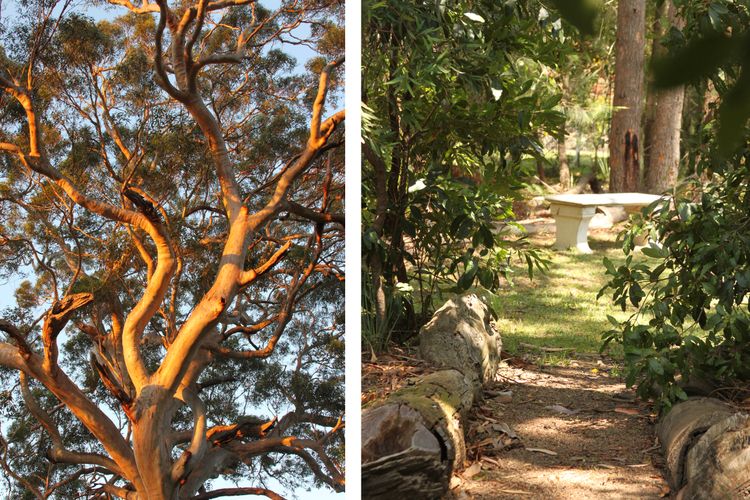 Sec57 – Jan’s Retreat by Experience Jervis Bay