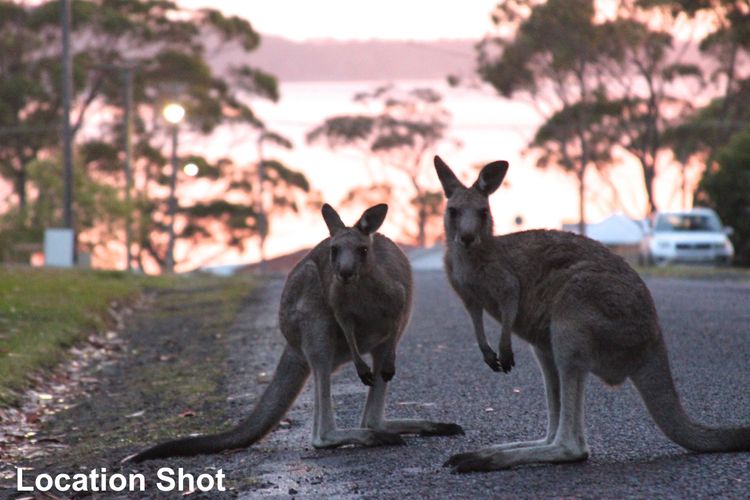 Sec57 – Jan’s Retreat by Experience Jervis Bay