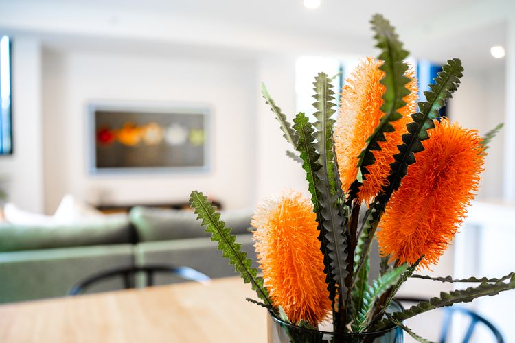 FegA203/15 – Happy Hour by Experience Jervis Bay