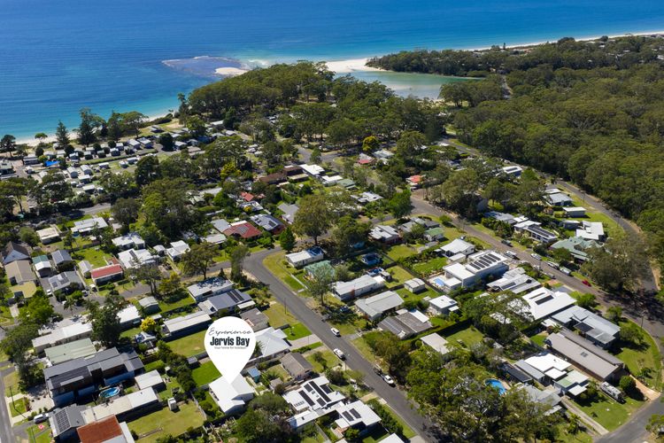 Cly5a – The Little Husky by Experience Jervis Bay