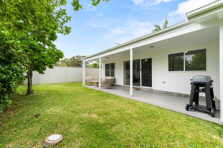 Cly5a – The Little Husky by Experience Jervis Bay