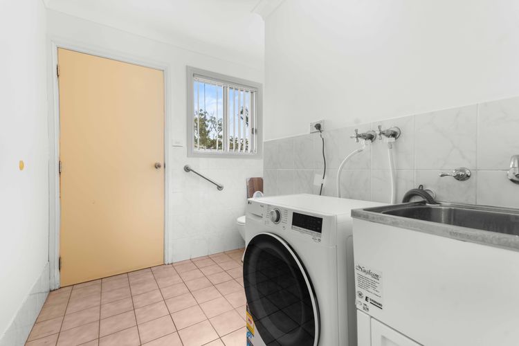 Cly5a – The Little Husky by Experience Jervis Bay