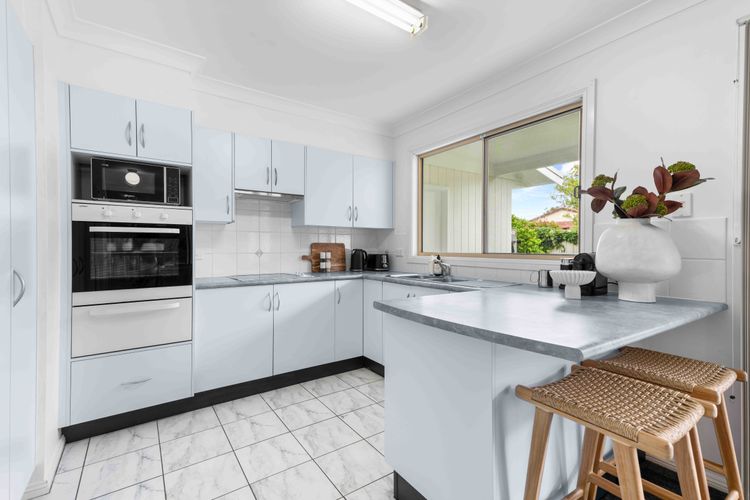 Cly5a – The Little Husky by Experience Jervis Bay