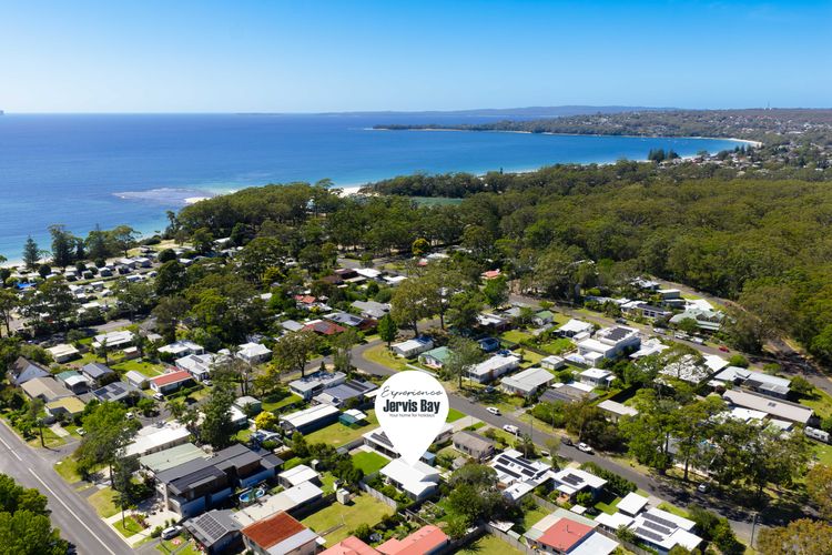 Cly5a – The Little Husky by Experience Jervis Bay