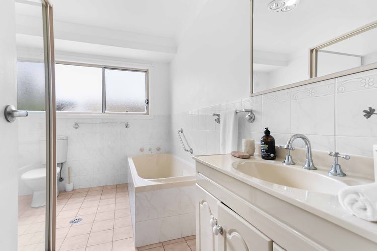 Cly5a – The Little Husky by Experience Jervis Bay