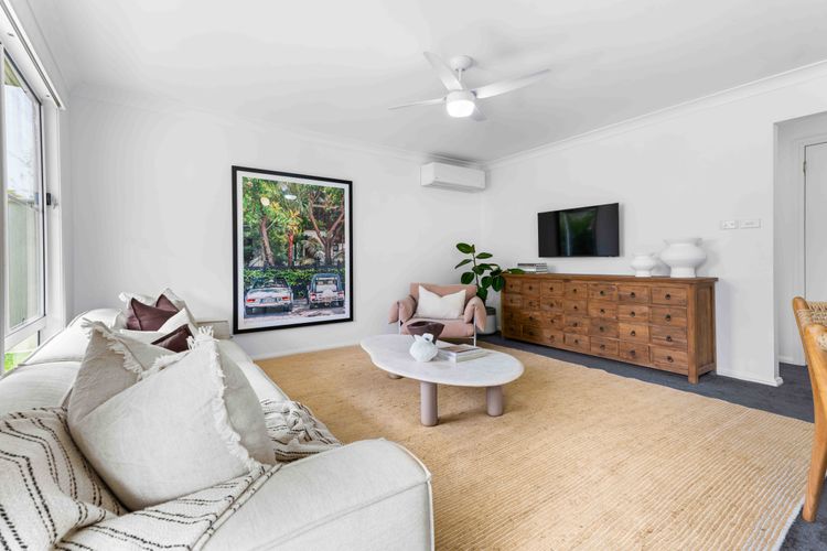 Cly5a – The Little Husky by Experience Jervis Bay