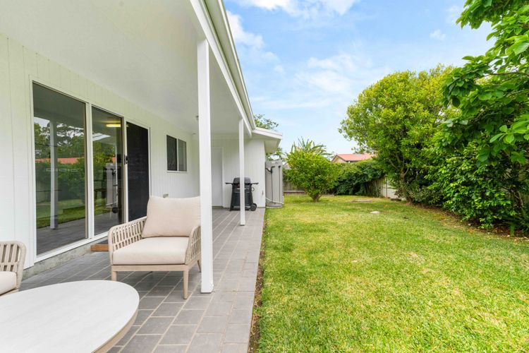 Cly5a – The Little Husky by Experience Jervis Bay