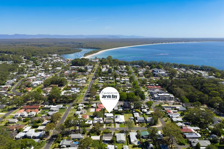 Cly5a – The Little Husky by Experience Jervis Bay
