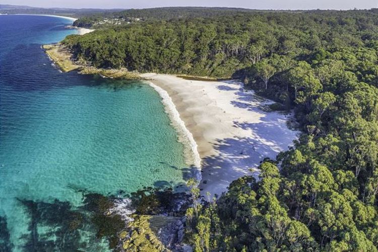 Eli1/393 – Banksia on Blenheim by Experience Jervis Bay