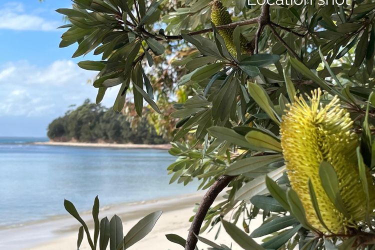 Eli1/393 – Banksia on Blenheim by Experience Jervis Bay
