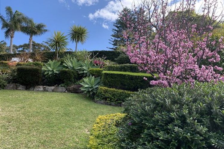 Eli365 – Alva Lee by Experience Jervis Bay