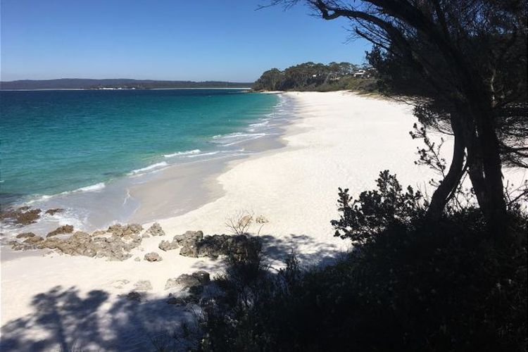 Eli365 – Alva Lee by Experience Jervis Bay
