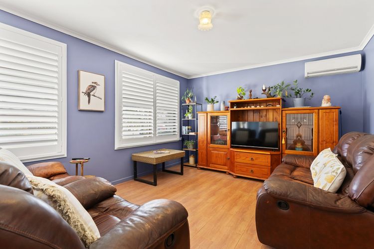 Blue Meadows