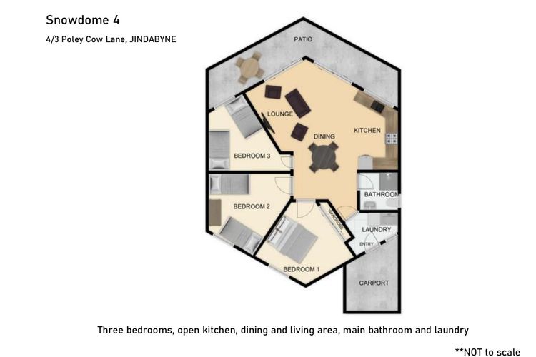 Snowdome – 4/3 Poley Cow Lane