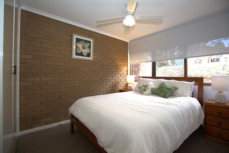 Snowy Saga – 2/46 Gippsland Street