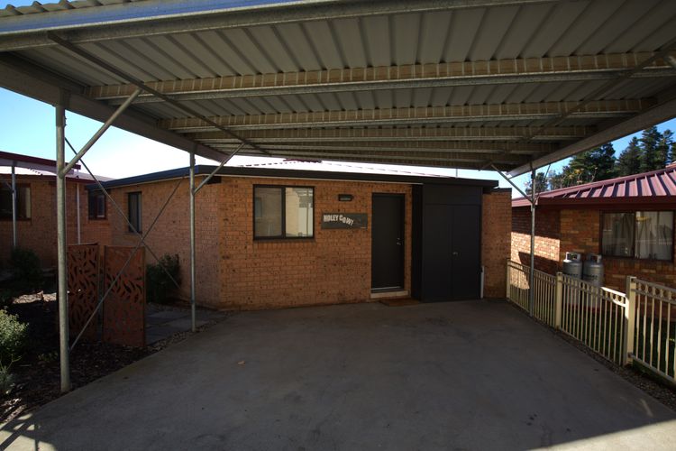 Holey Cow! 3/3 Poley Cow Lane