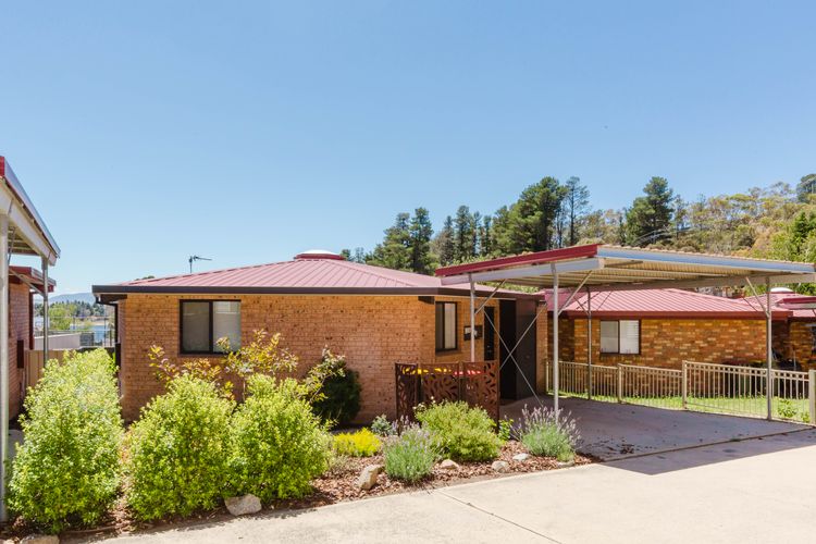 Holey Cow! 3/3 Poley Cow Lane