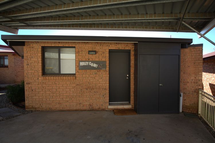 Holey Cow! 3/3 Poley Cow Lane