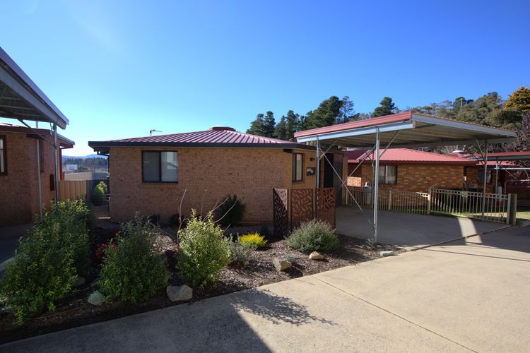 Holey Cow! 3/3 Poley Cow Lane