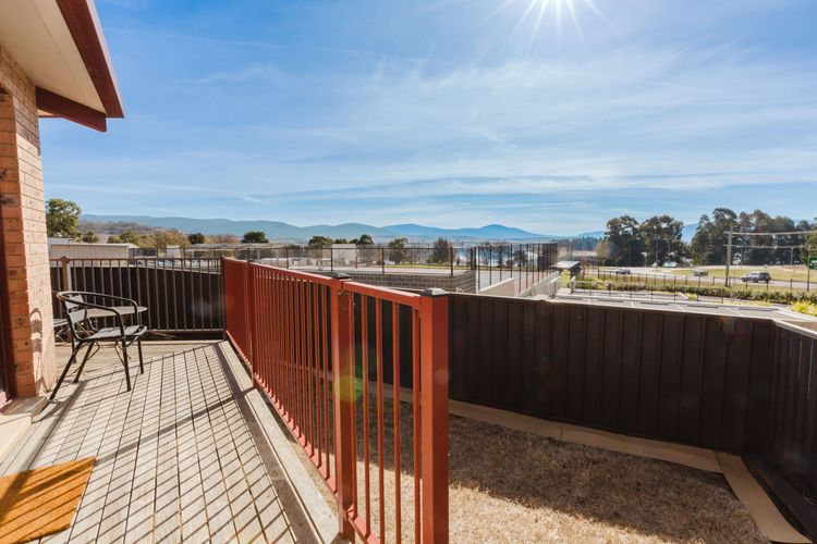 Holey Cow! 3/3 Poley Cow Lane