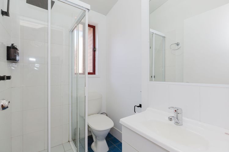 Holey Cow! 3/3 Poley Cow Lane