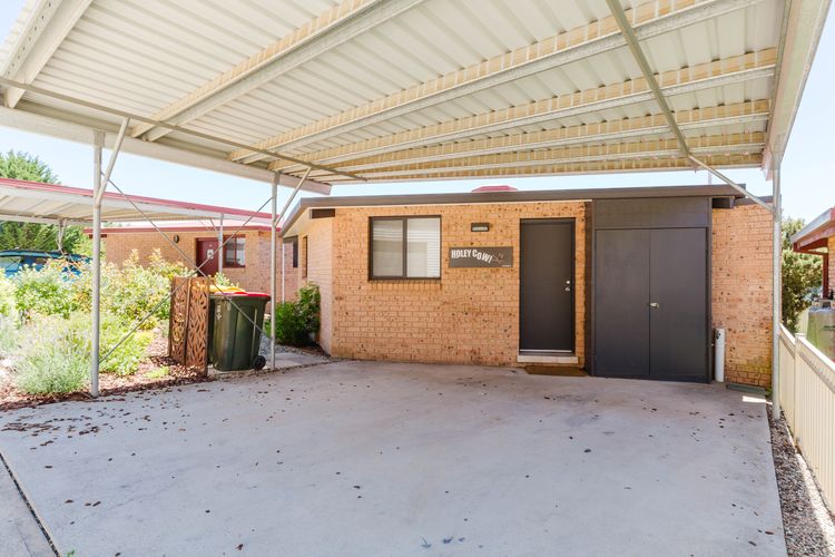 Holey Cow! 3/3 Poley Cow Lane