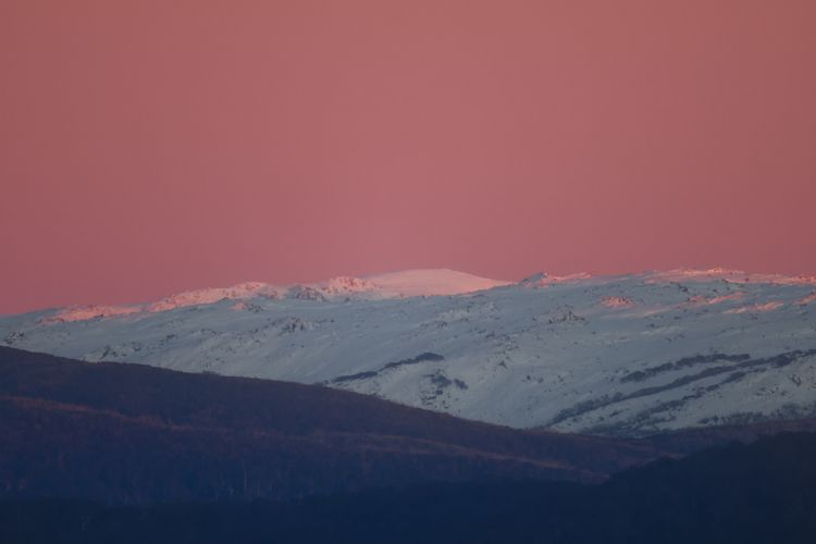 Brumbies Run – 92B Chongs Rd