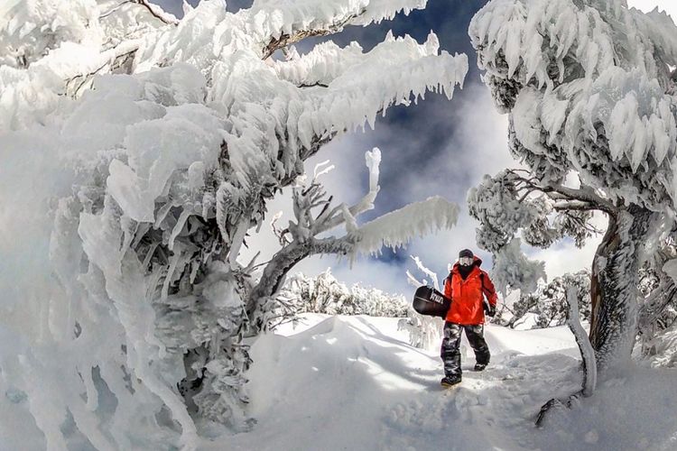 Brumbies Run – 92B Chongs Rd