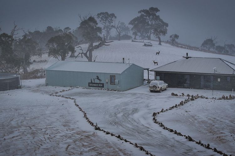 Brumbies Run – 92B Chongs Rd