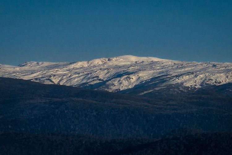 Brumbies Run – 92B Chongs Rd