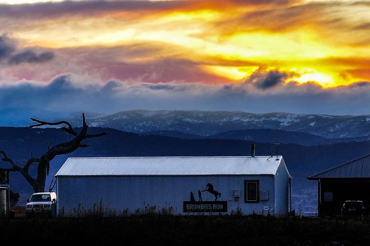 Brumbies Run – 92B Chongs Rd