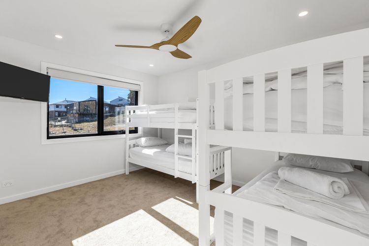 14 Abbott Street – Entire