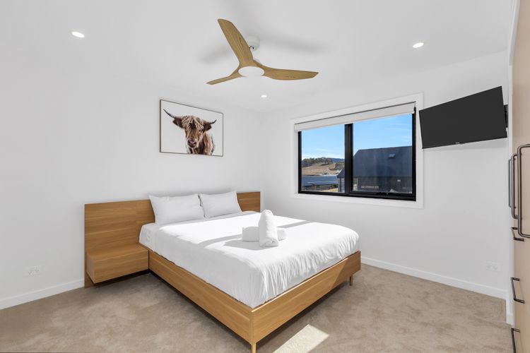 14 Abbott Street – House