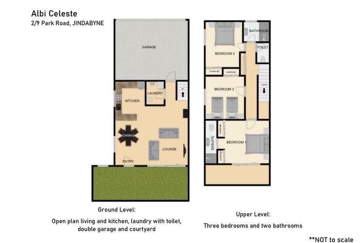 Albi Celeste – 2/9 Park Road