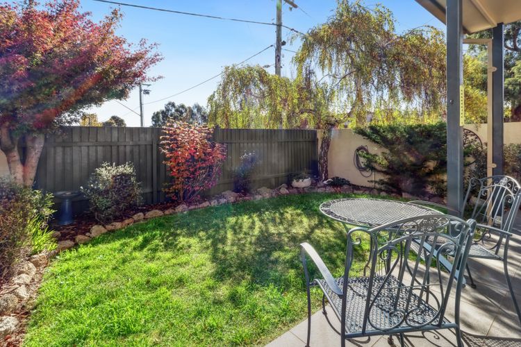 Albi Celeste – 2/9 Park Road