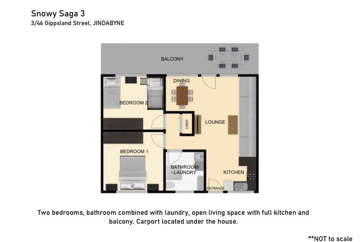 Snowy Saga – 3/46 Gippsland Street