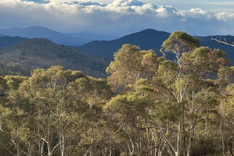 Mountain Zen – 94 Chongs Road