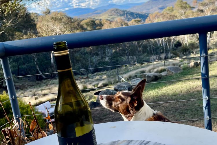 Mountain Zen – 94 Chongs Road