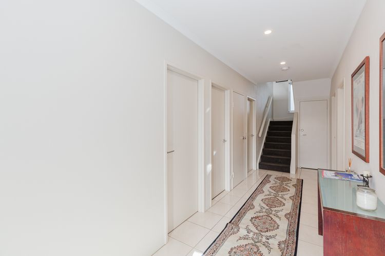 Grevillea – 1/12 Poley Cow Lane