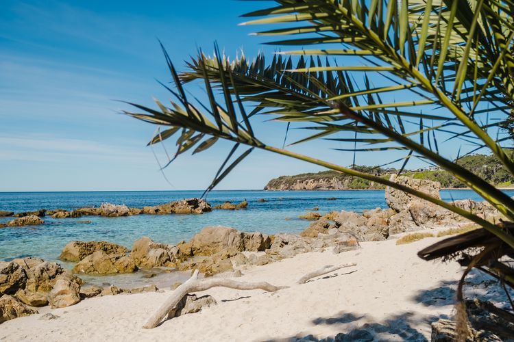 Ocean Stays – Mollymook