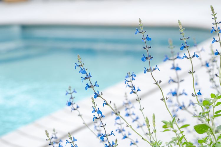 Anchors at Mollymook Beach