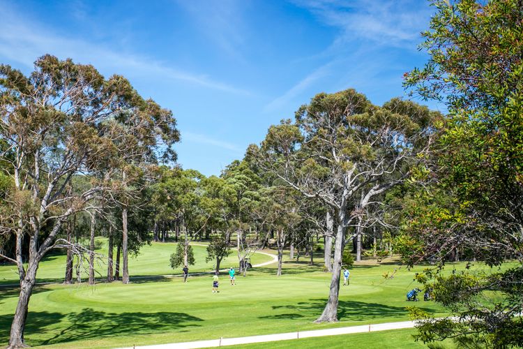 Mollymook Beach House