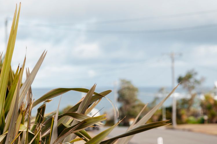 Surfers Delight Beach House