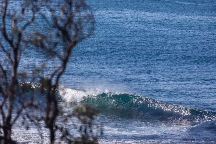 Casa al mare – Apartment