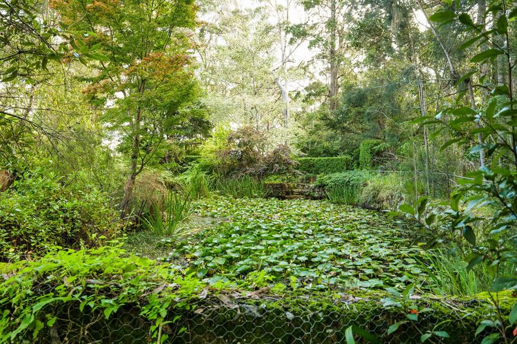 Petana Farm Stay