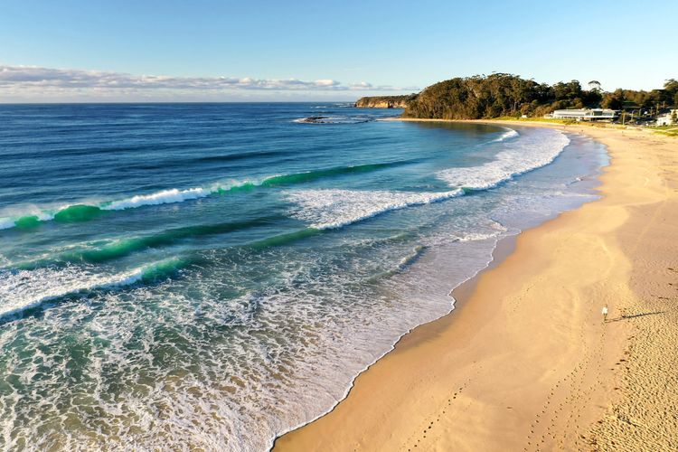 Family Friendly On Treetops