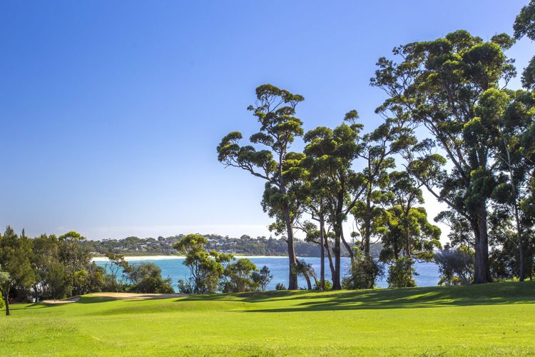 Family Friendly On Treetops