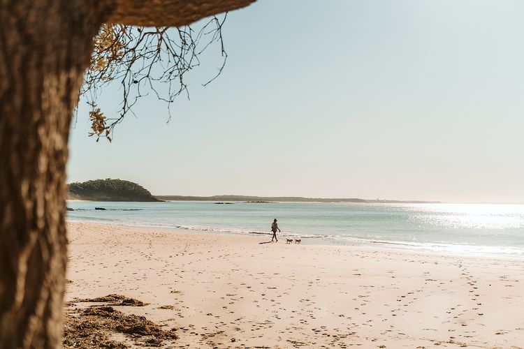 Sea Salt Narrawallee