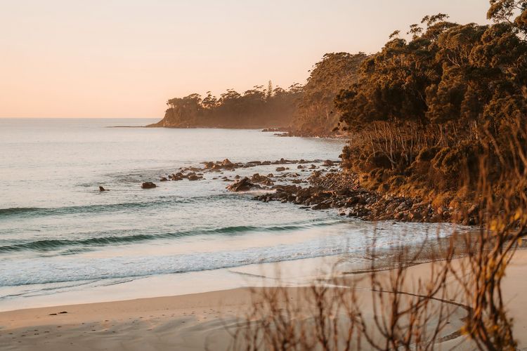 Sea Salt Narrawallee